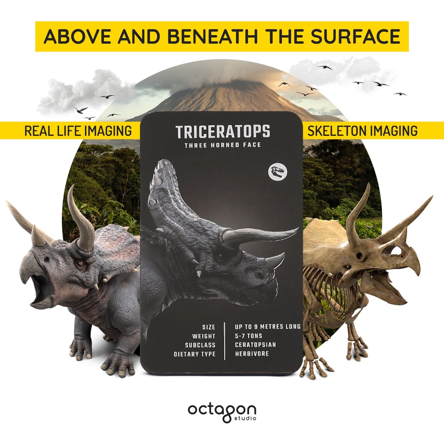 Dinosaur 4D+ Augmented Reality Cards-3