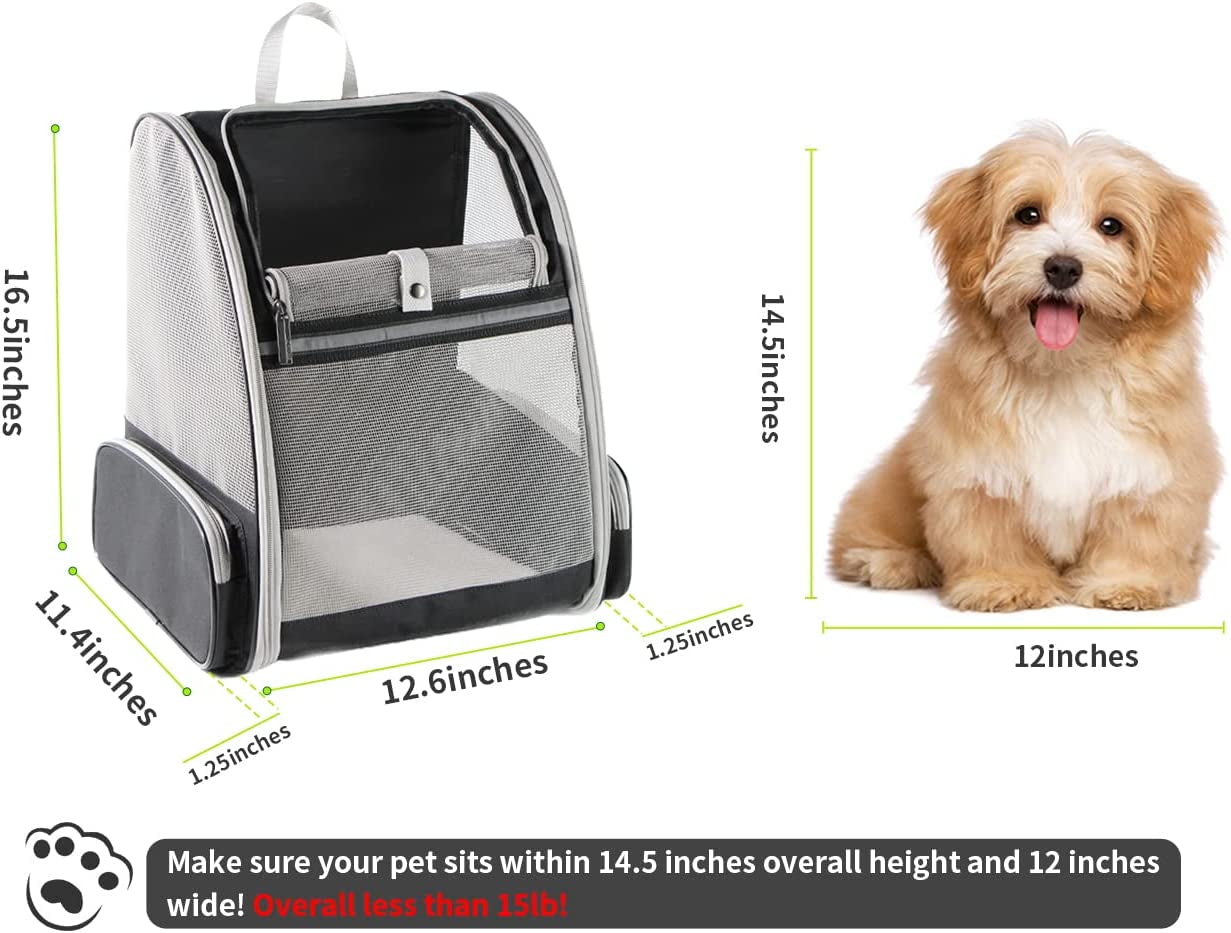 Bubble Backpack Carrier for Cats-1