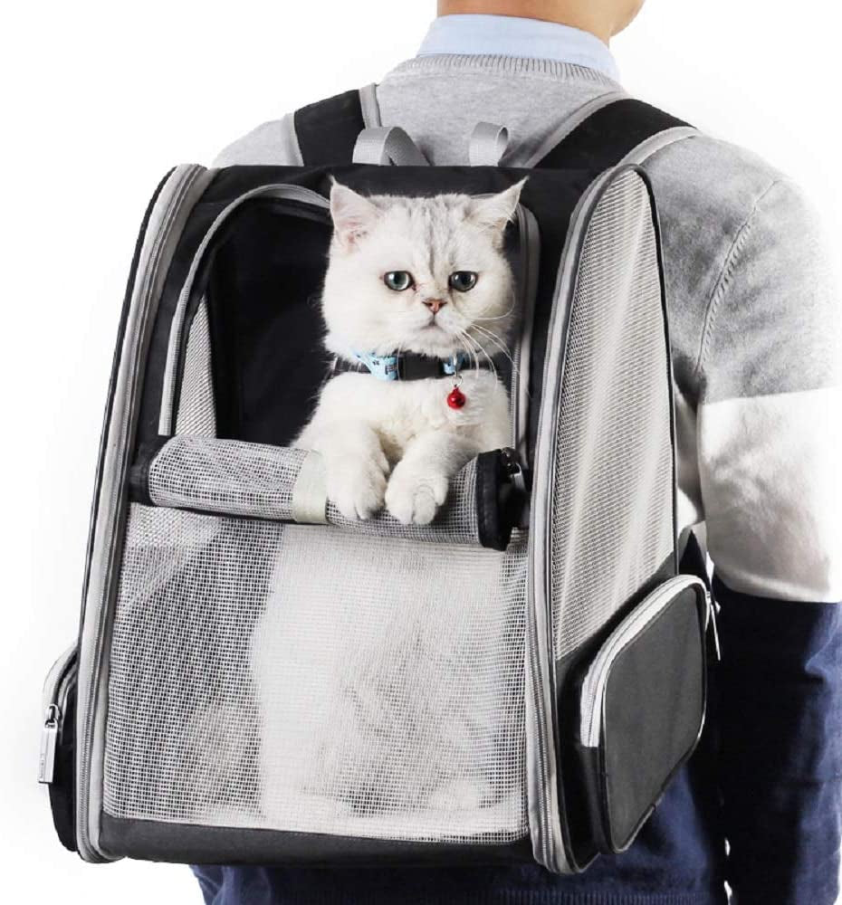 Bubble Backpack Carrier for Cats-4