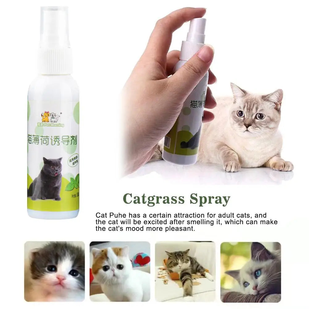 Natural Catnip Spray-1