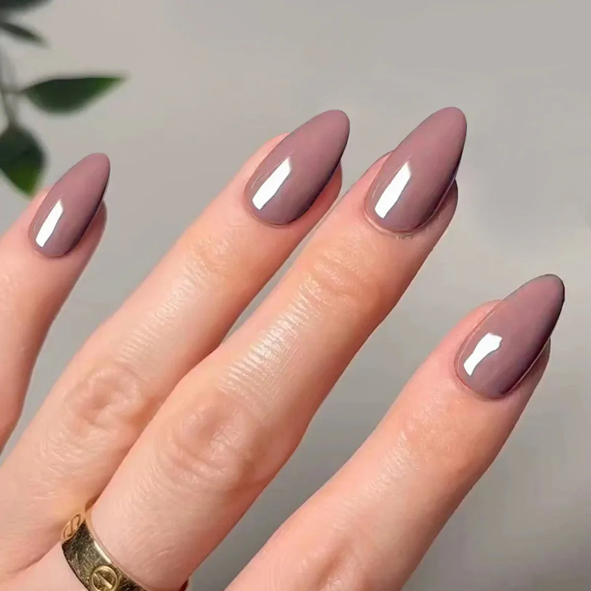 Classic Glossy Long Pointed Fake Nails Set-7