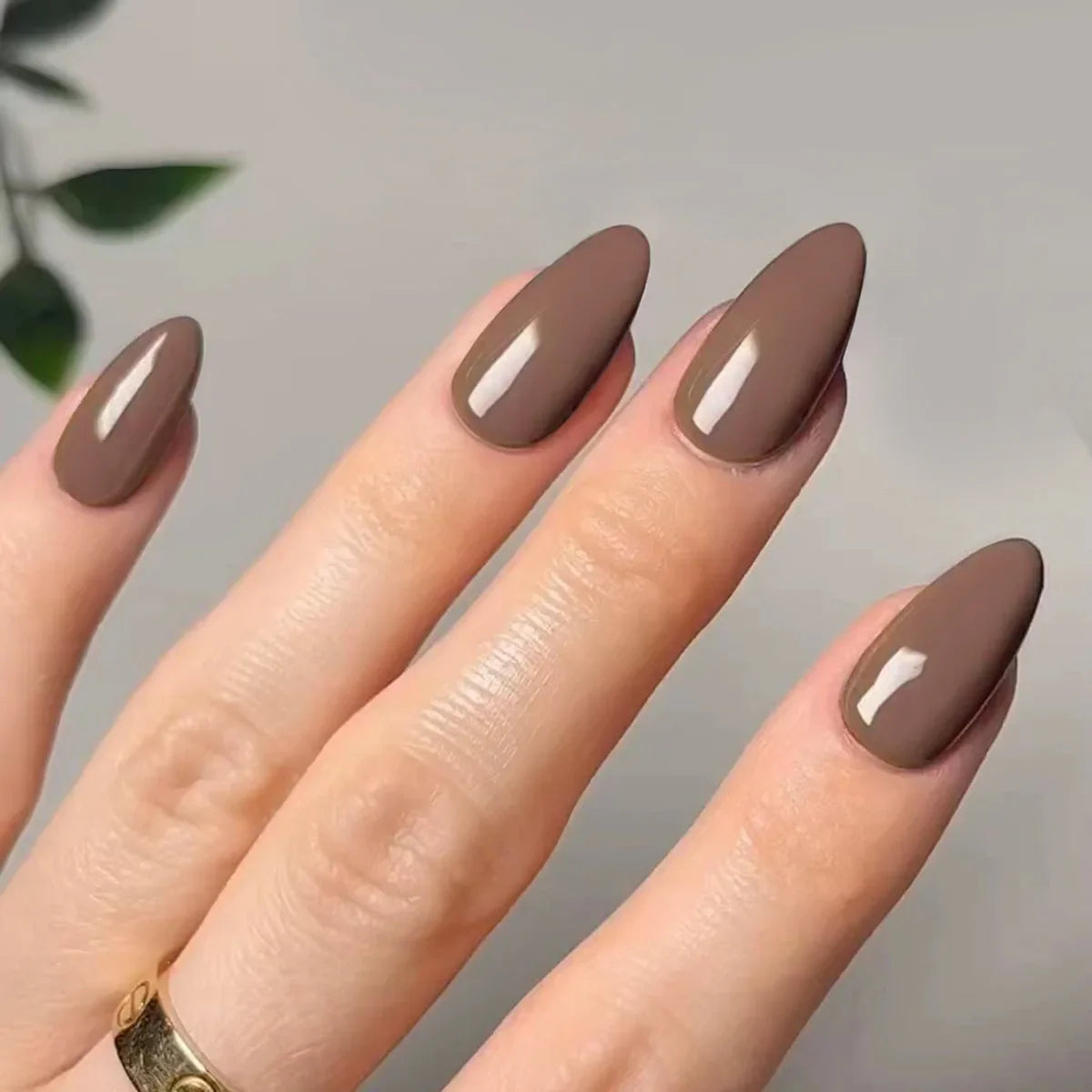 Classic Glossy Long Pointed Fake Nails Set-3