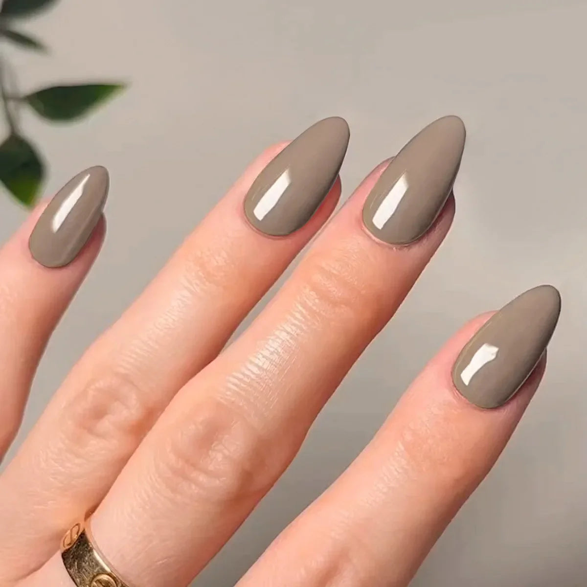 Classic Glossy Long Pointed Fake Nails Set-2