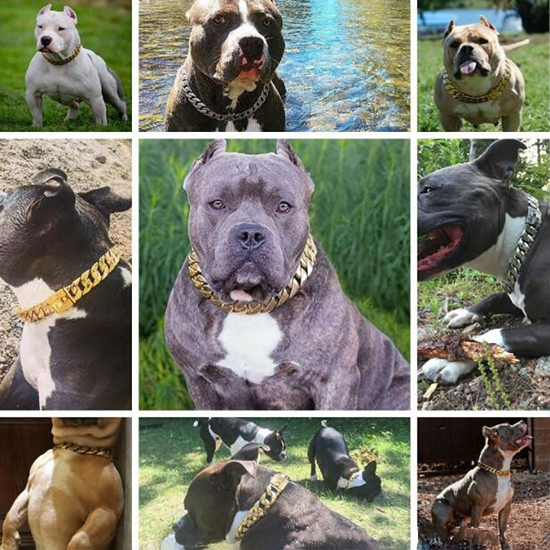 19mm Strong Metal Dog Chain-2