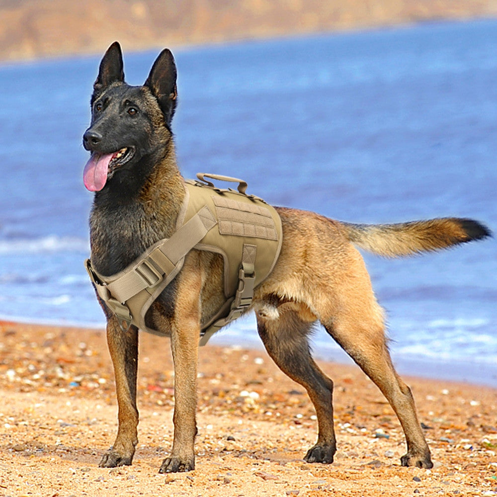 Tactical Harness Military Training Dog Vest-4