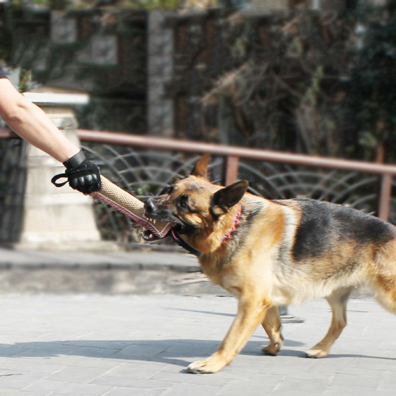 Biting Dog Training Professional Working Dog-2