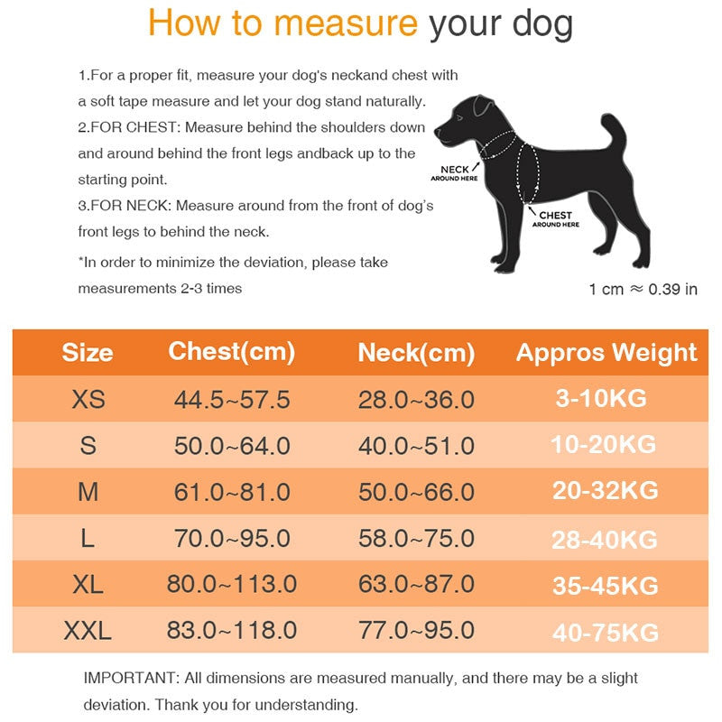 Dog Harness ID Tag Custom Harness-5