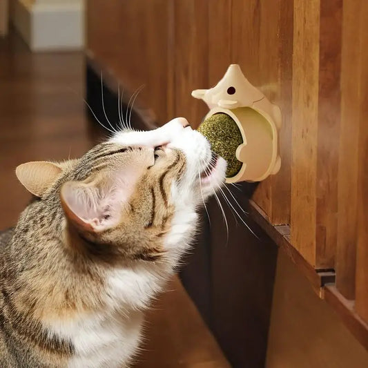 Hedgehog Catnip Ball-0