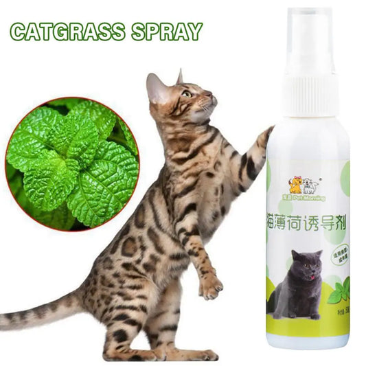 Natural Catnip Spray-0