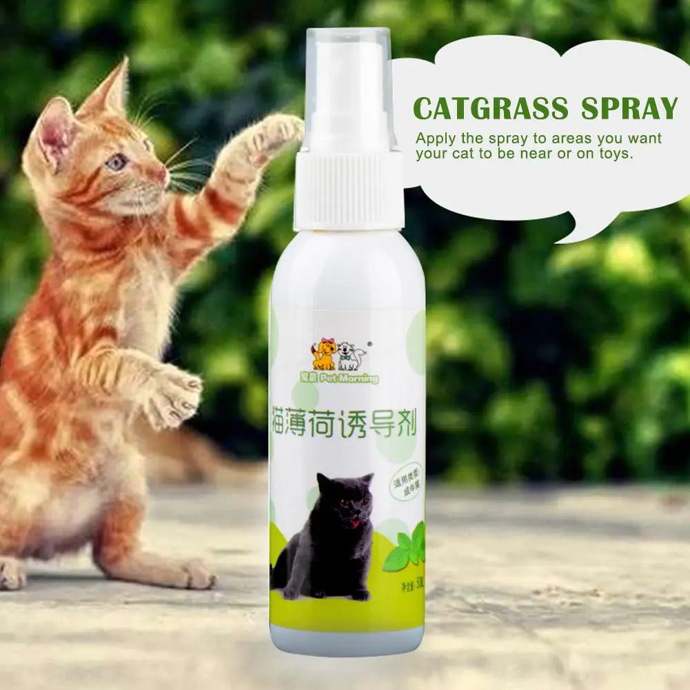 Natural Catnip Spray-2