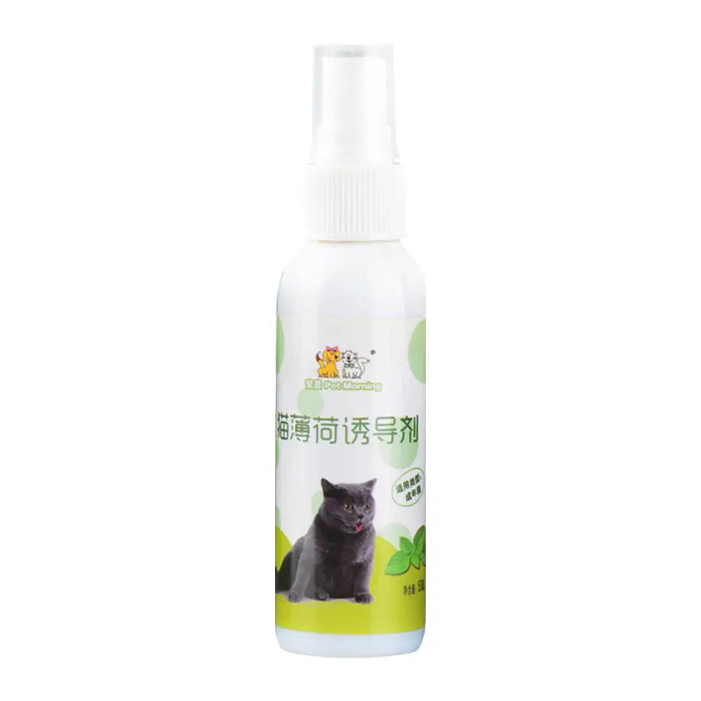 Natural Catnip Spray-3