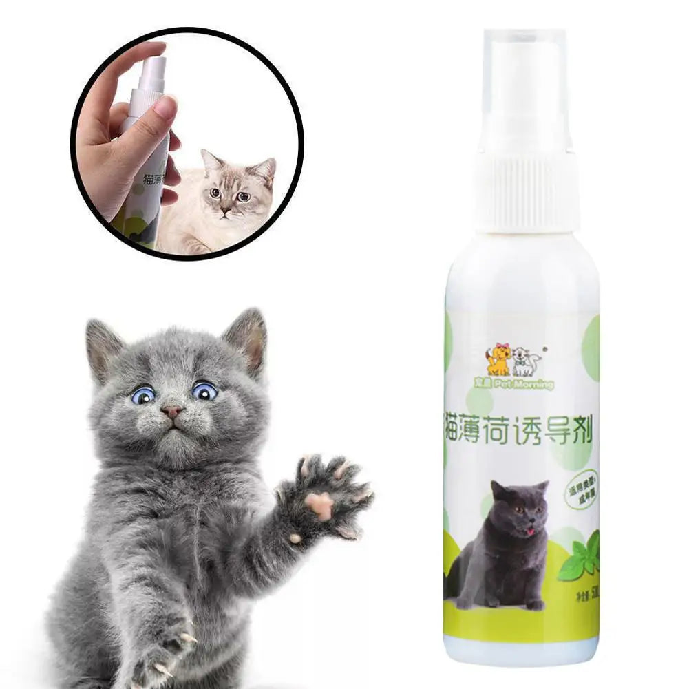 Natural Catnip Spray-4