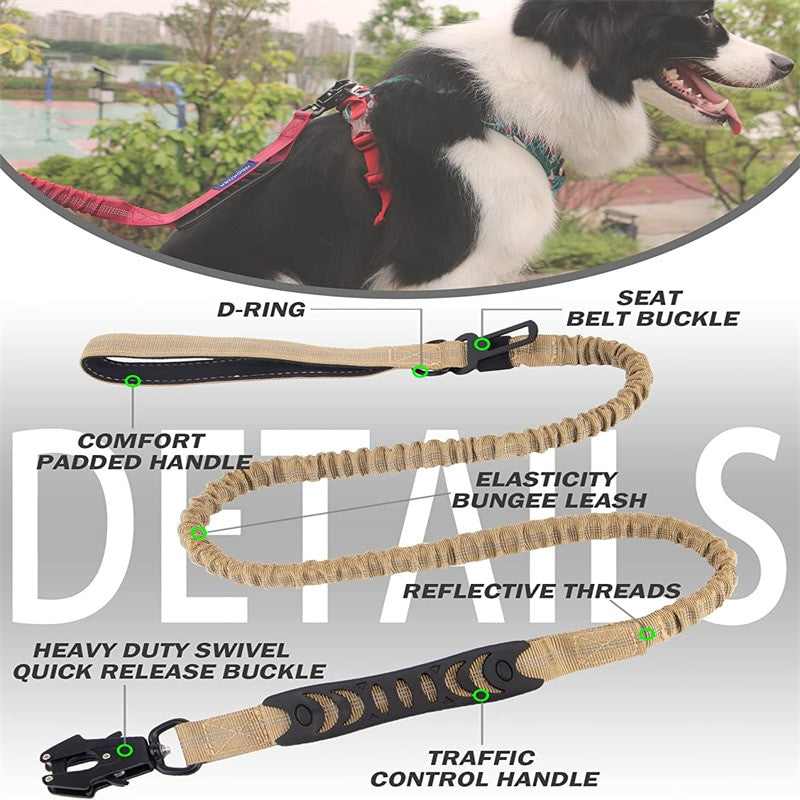 4 in 1 Shock Absorbing Dog Leash-2