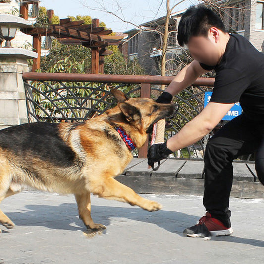 Biting Dog Training Professional Working Dog-0
