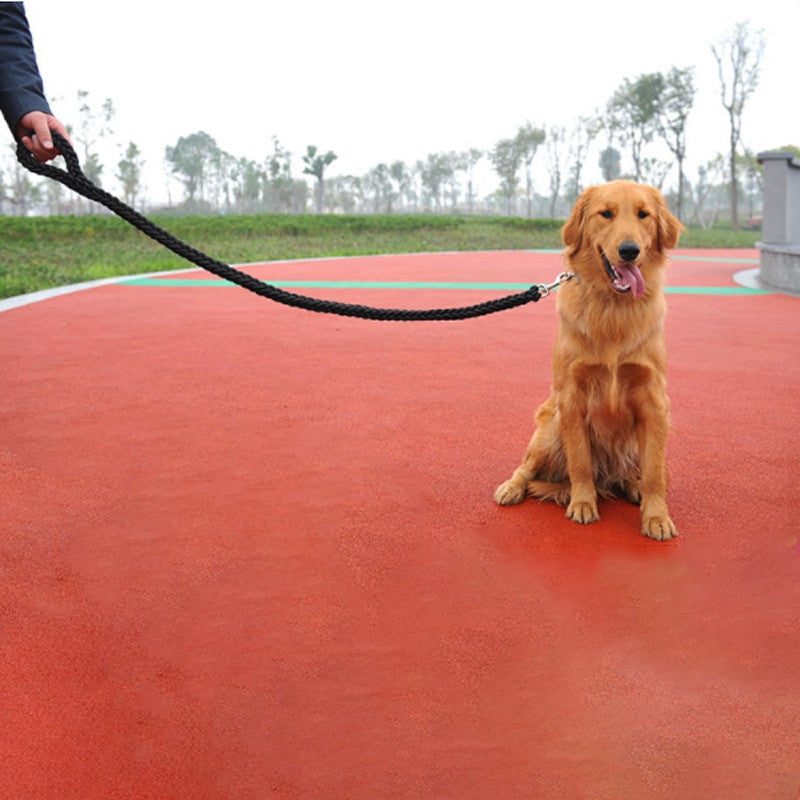 Nylon Dog Harness Leash-4