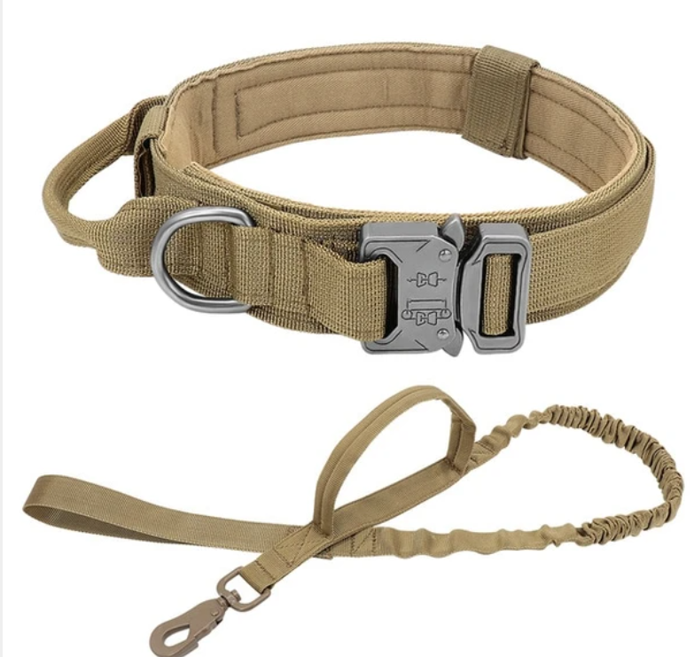 Tactical Dog Collar-11