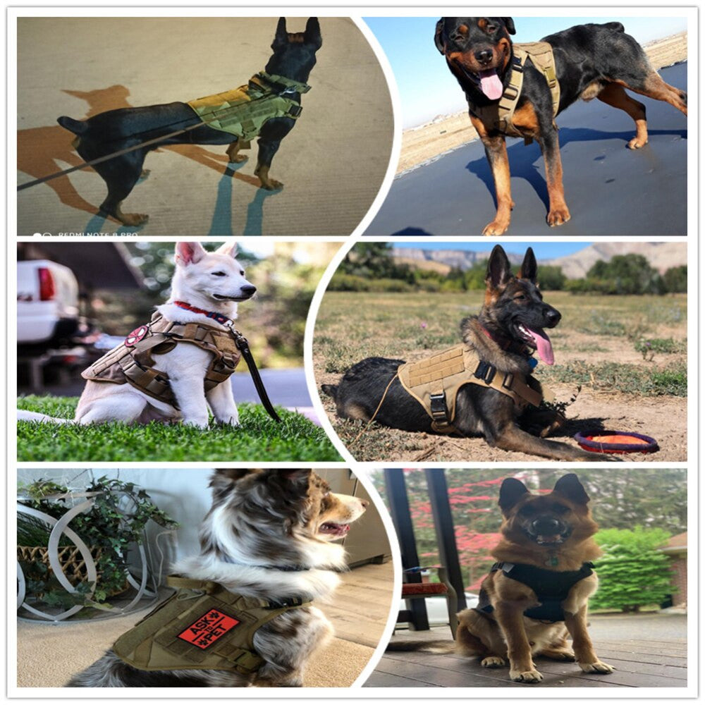 Metal Buckle Tactical Dog Harness & Lead-5