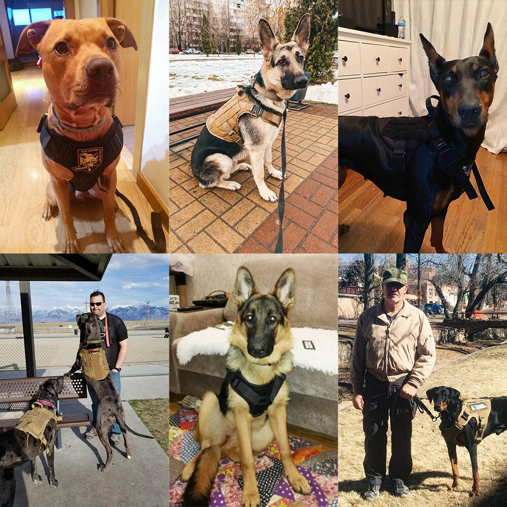 Tactical Dog Harness-4