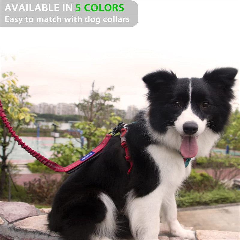 4 in 1 Shock Absorbing Dog Leash-5