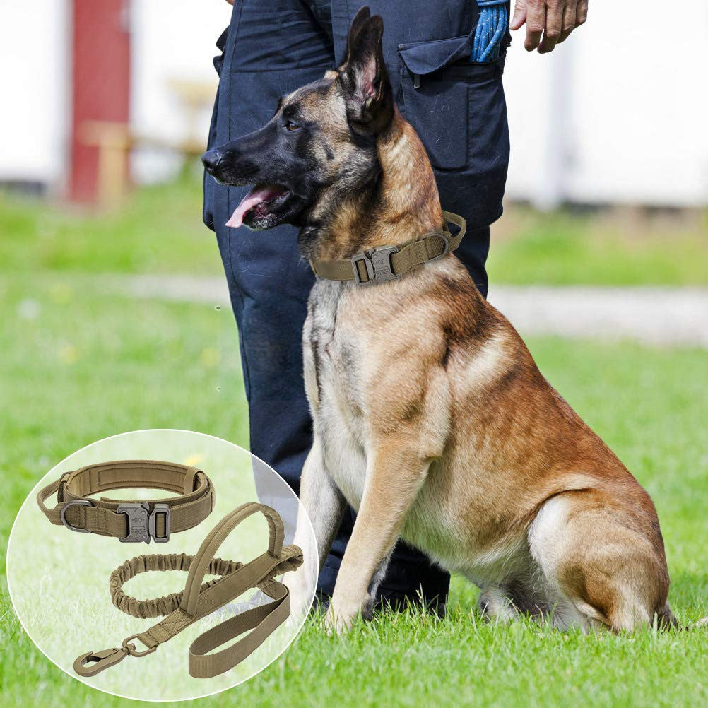 Military Tactical Dog Collar & Leash-2