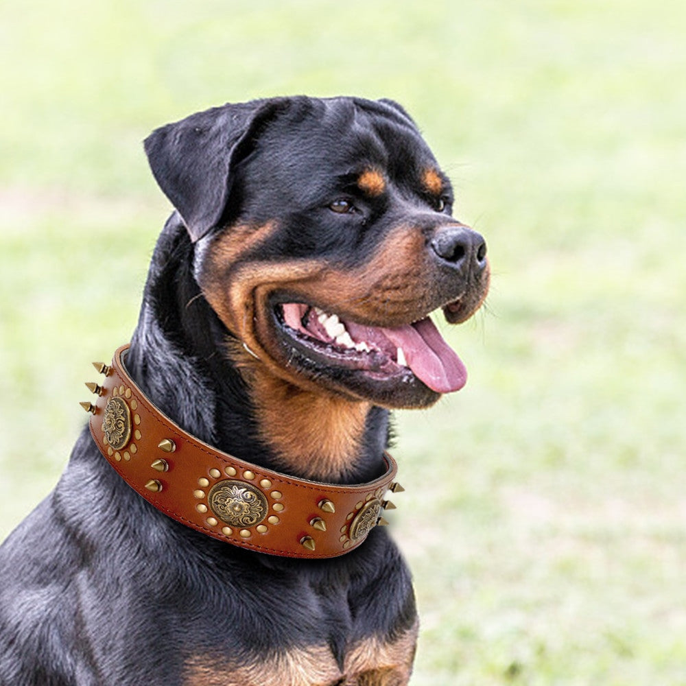 Leather Dog Collars-3